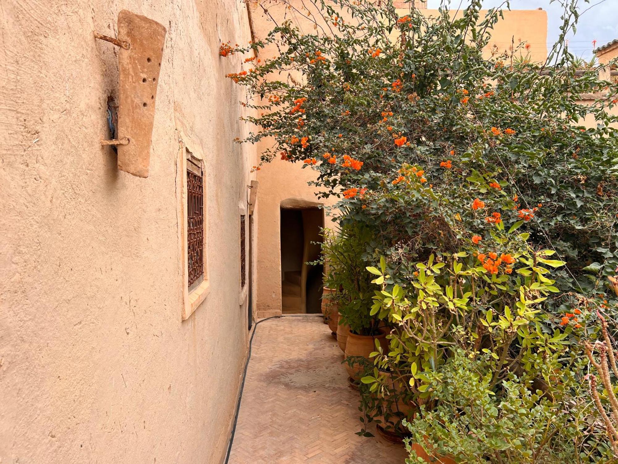 Dar Les Dattiers Taroudant Exteriér fotografie